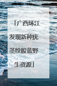 广西环江发现新种疣茎绞股蓝野生资源